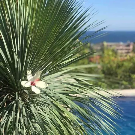 Villa D&D Villa Vallauris